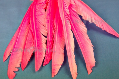 Декоративный Пучок из перьев, перо 25см/розовый - купить в Новошахтинске. Цена: 14.54 руб.