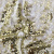 Трикотажное полотно, Сетка с пайетками, шир.130 см, #315, цв.-белый/золото - купить в Новошахтинске. Цена 693.39 руб.