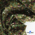 Ткань костюмная «Микровельвет велюровый принт», 220 г/м2, 97% полиэстр, 3% спандекс, ш. 150См Цв  #9 - купить в Новошахтинске. Цена 439.76 руб.