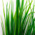 Трава искусственная -2, шт (осока 41см/8 см)				 - купить в Новошахтинске. Цена: 104.57 руб.