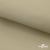 Ткань подкладочная TWILL 230T 14-1108, беж светлый 100% полиэстер,66 г/м2, шир.150 cм - купить в Новошахтинске. Цена 90.59 руб.