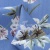Плательная ткань "Фламенко" 12.1, 80 гр/м2, шир.150 см, принт растительный - купить в Новошахтинске. Цена 243.96 руб.