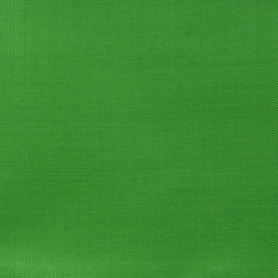 Ткань подкладочная Таффета 17-6153, 48 гр/м2, шир.150см, цвет трава - купить в Новошахтинске. Цена 54.64 руб.