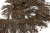 008-коричневый, Бахрома арт.001 шир.10см (упак.12+/-0,5м) - купить в Новошахтинске. Цена: 1 017.33 руб.