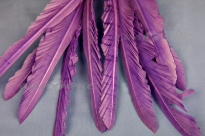 Декоративный Пучок из перьев, перо 25см/фиолетовый - купить в Новошахтинске. Цена: 12.19 руб.