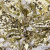Трикотажное полотно, Сетка с пайетками, шир.130 см, #315, цв.-белый/золото - купить в Новошахтинске. Цена 693.39 руб.