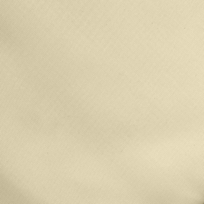 Ткань подкладочная Таффета 14-1014, антист., 54 гр/м2, шир.150см, цвет бежевый - купить в Новошахтинске. Цена 65.53 руб.