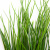 Трава искусственная -4, шт  (осока 50 см/8 см  7 листов)				 - купить в Новошахтинске. Цена: 130.73 руб.